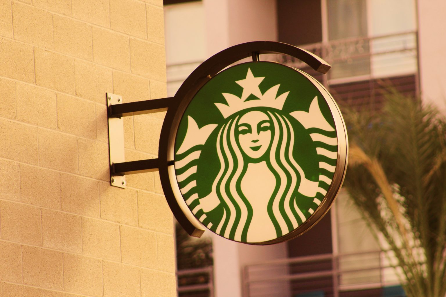 Starbucks назначает ветерана Amazon техническим директором Starbucks назначает ветерана Amazon техническим директором