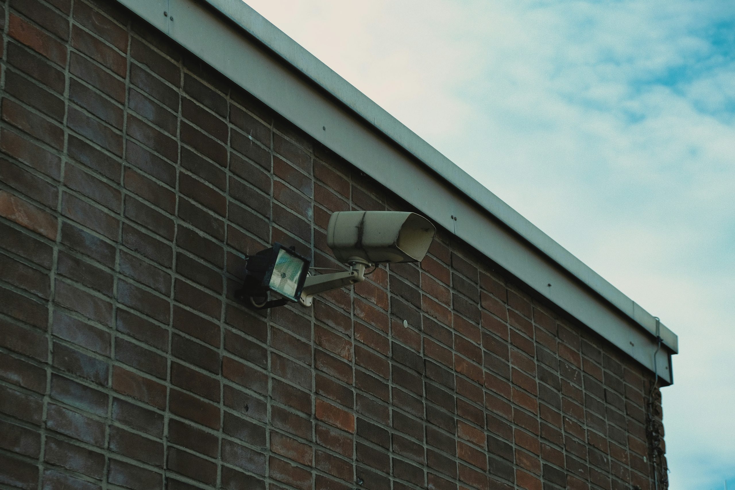 Palona AI Converts Security Cameras into Operational Tools